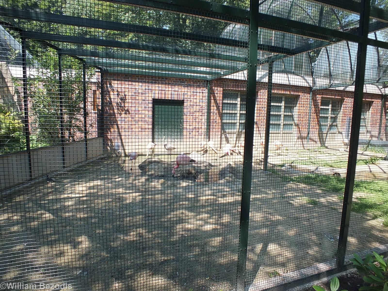 Enclosure for Puna and Andean Flamingos