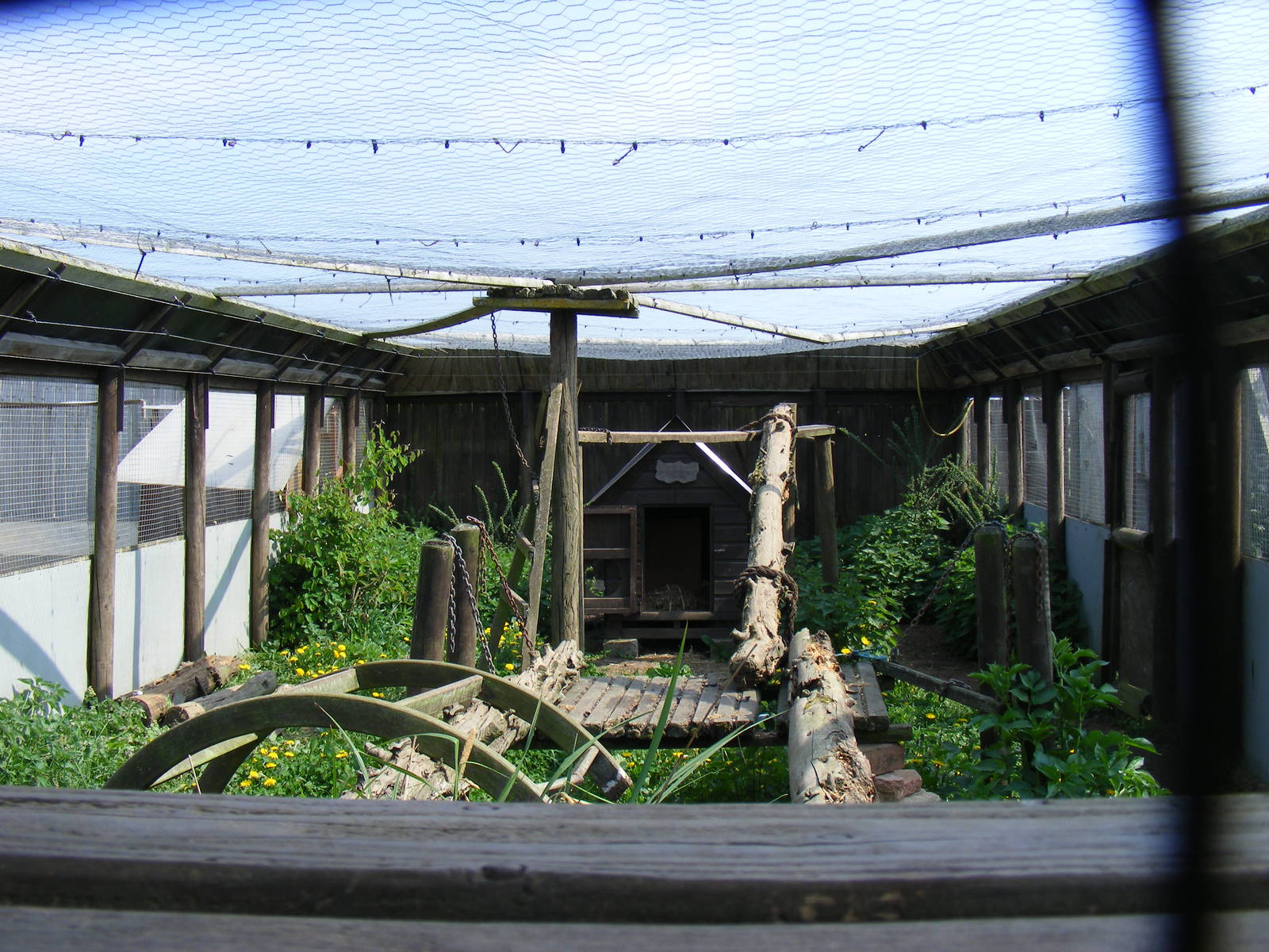 Enclosure for raccoons at The Ark Animal Sanctuary, 22 April 2011