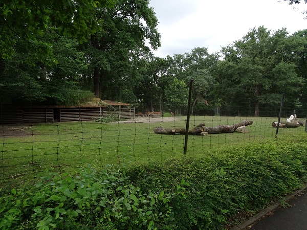 Enclosure for red deer (07/22)