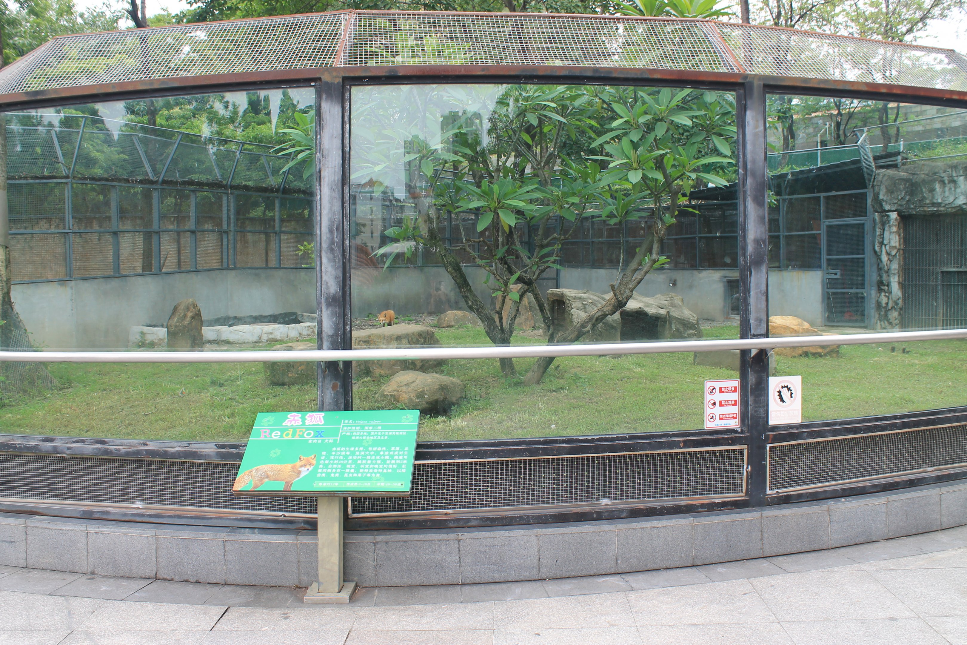 Enclosure for Red Foxes (Vulpes vulpes)