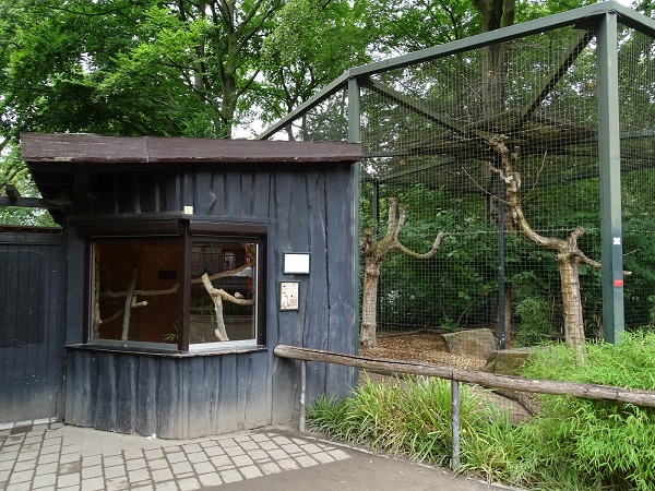 Enclosure for red-legged seriemas