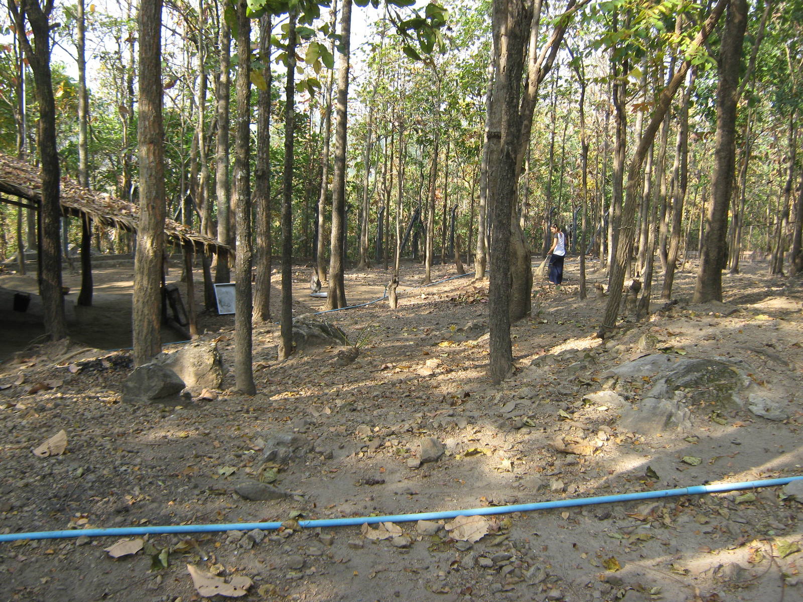 enclosure for Red-necked Wallabies