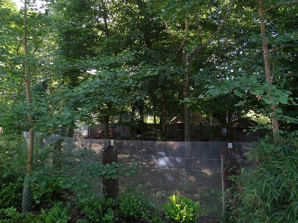 Enclosure for red panda (07/22)