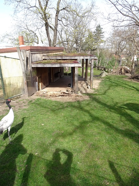 Enclosure for red panda, tufted deer and black-necked crane (04/22)