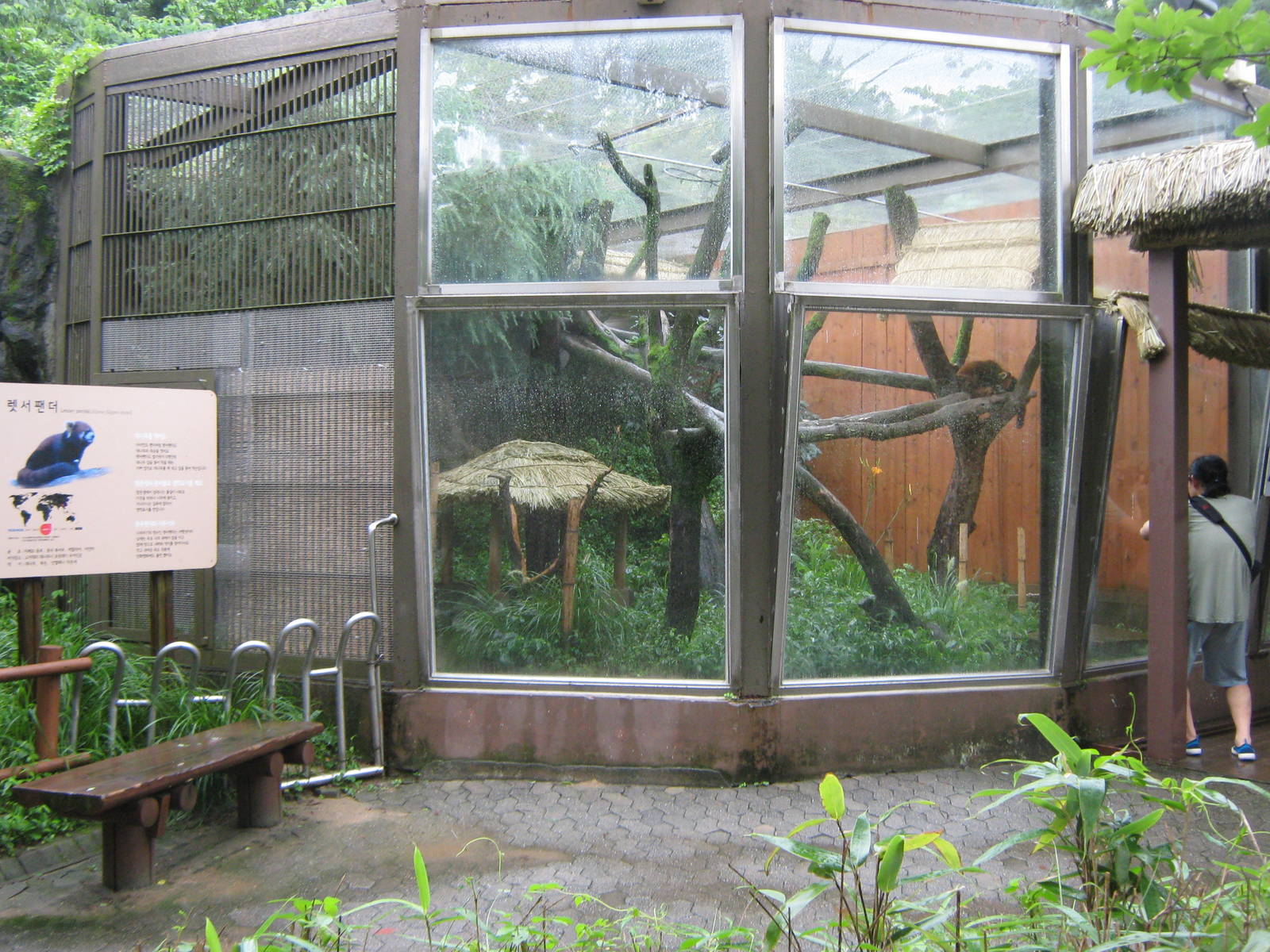 enclosure for red panda