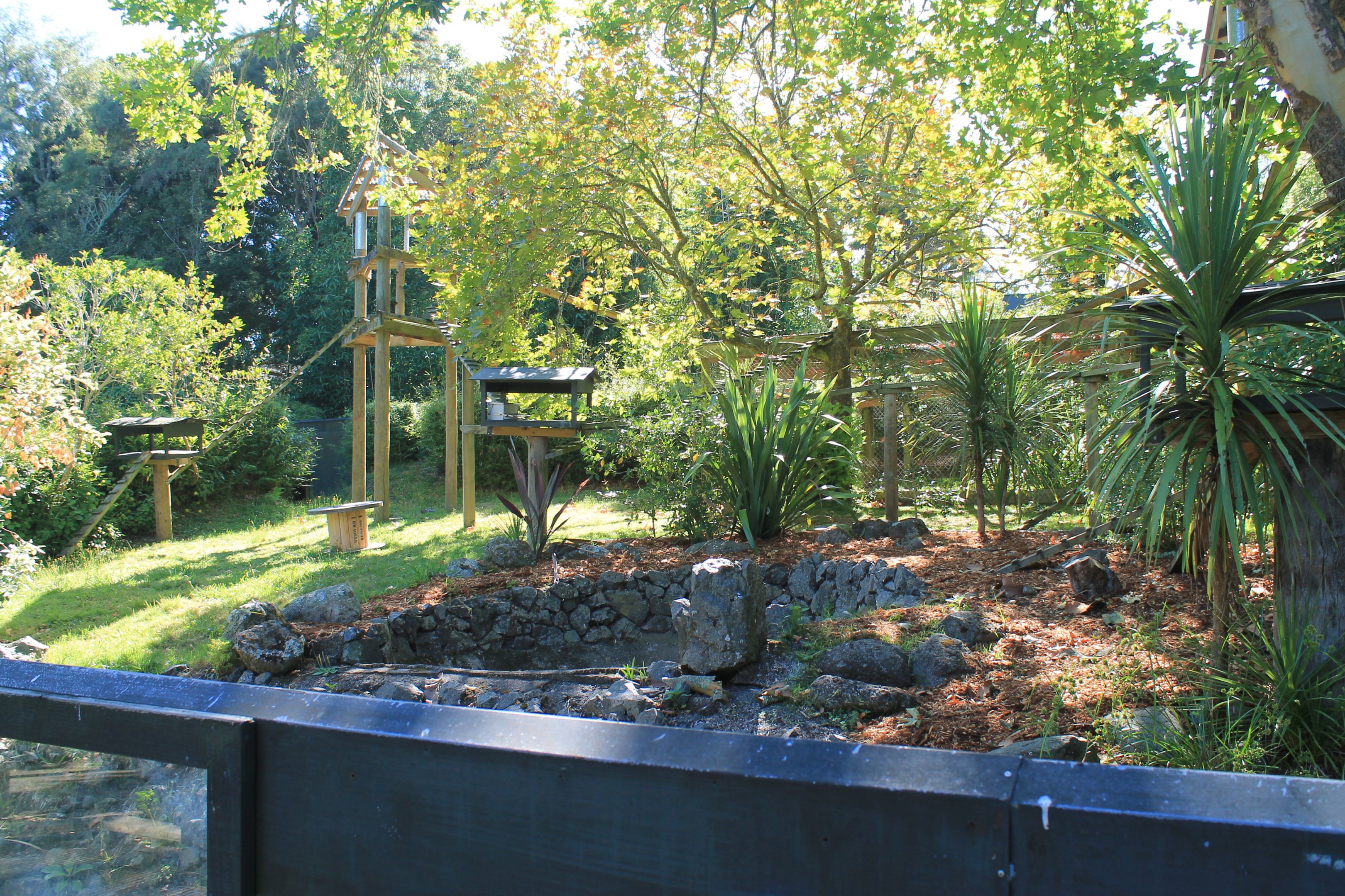 enclosure for Red Pandas