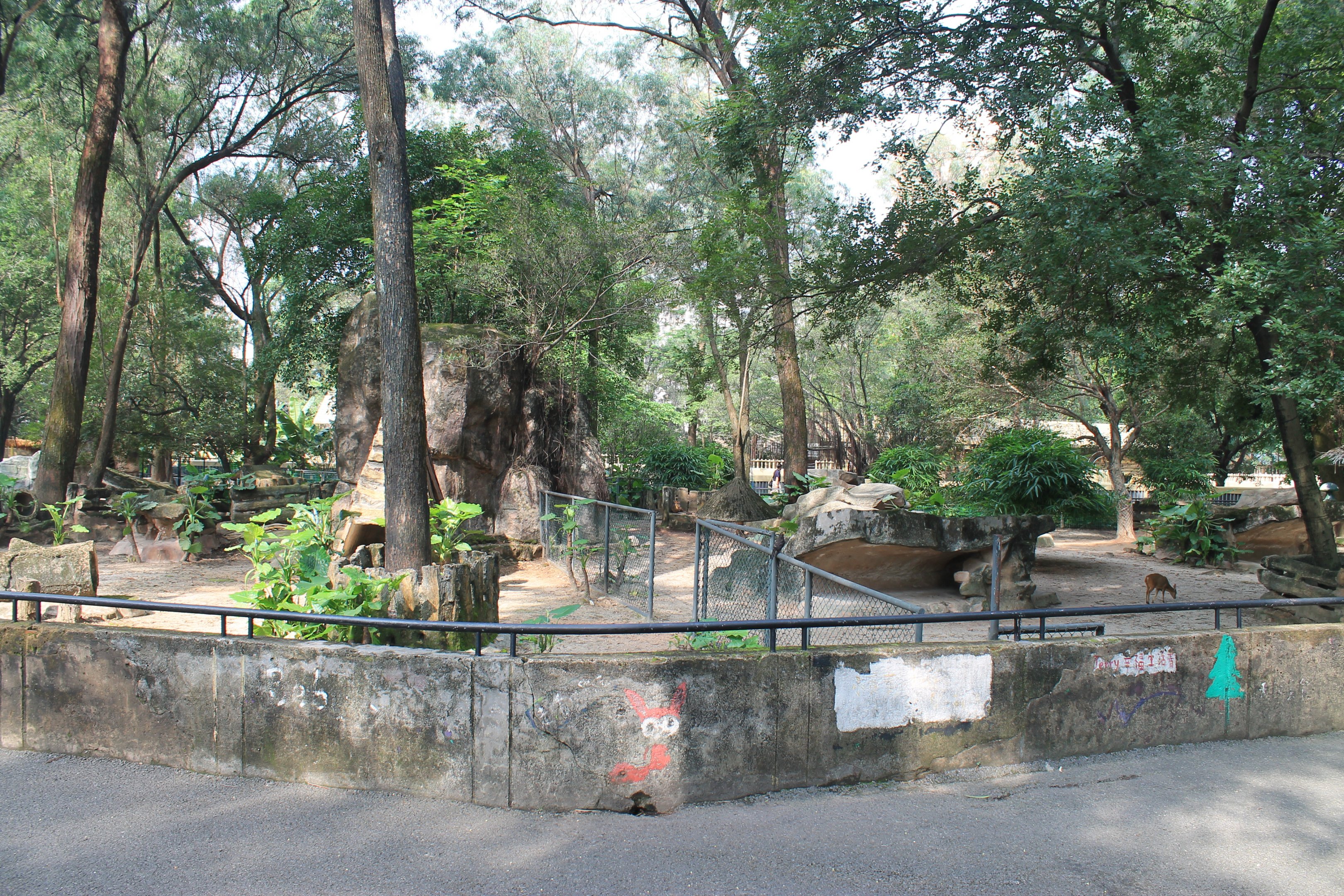 Enclosure for Reeves' Muntjac (Muntiacus reevesi)