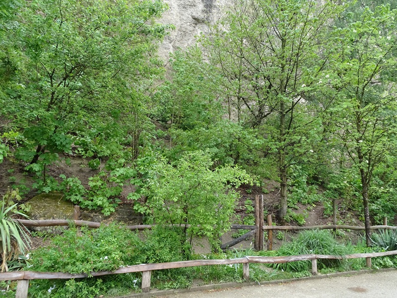 Enclosure for rhea and mara