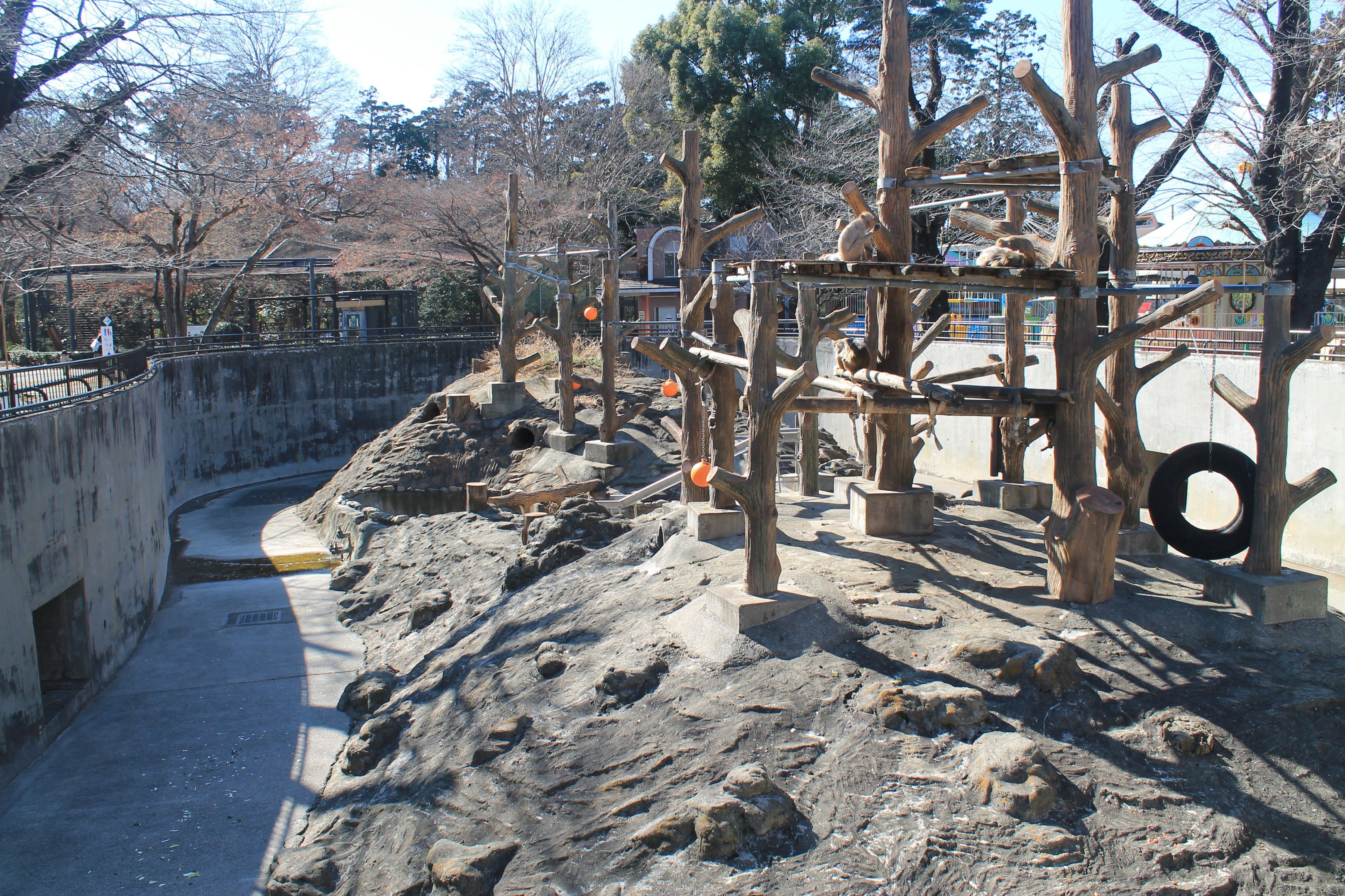 Enclosure for Rhesus Macaques