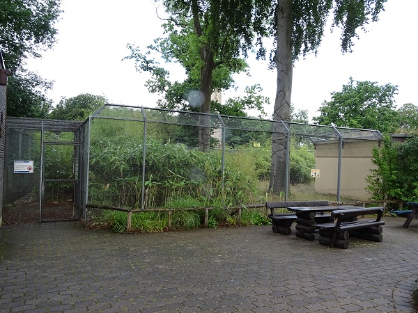 Enclosure for ring-tailed lemurs (07/22)