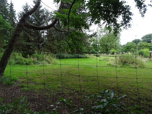 Enclosure for roe deers and white storks (07/22)