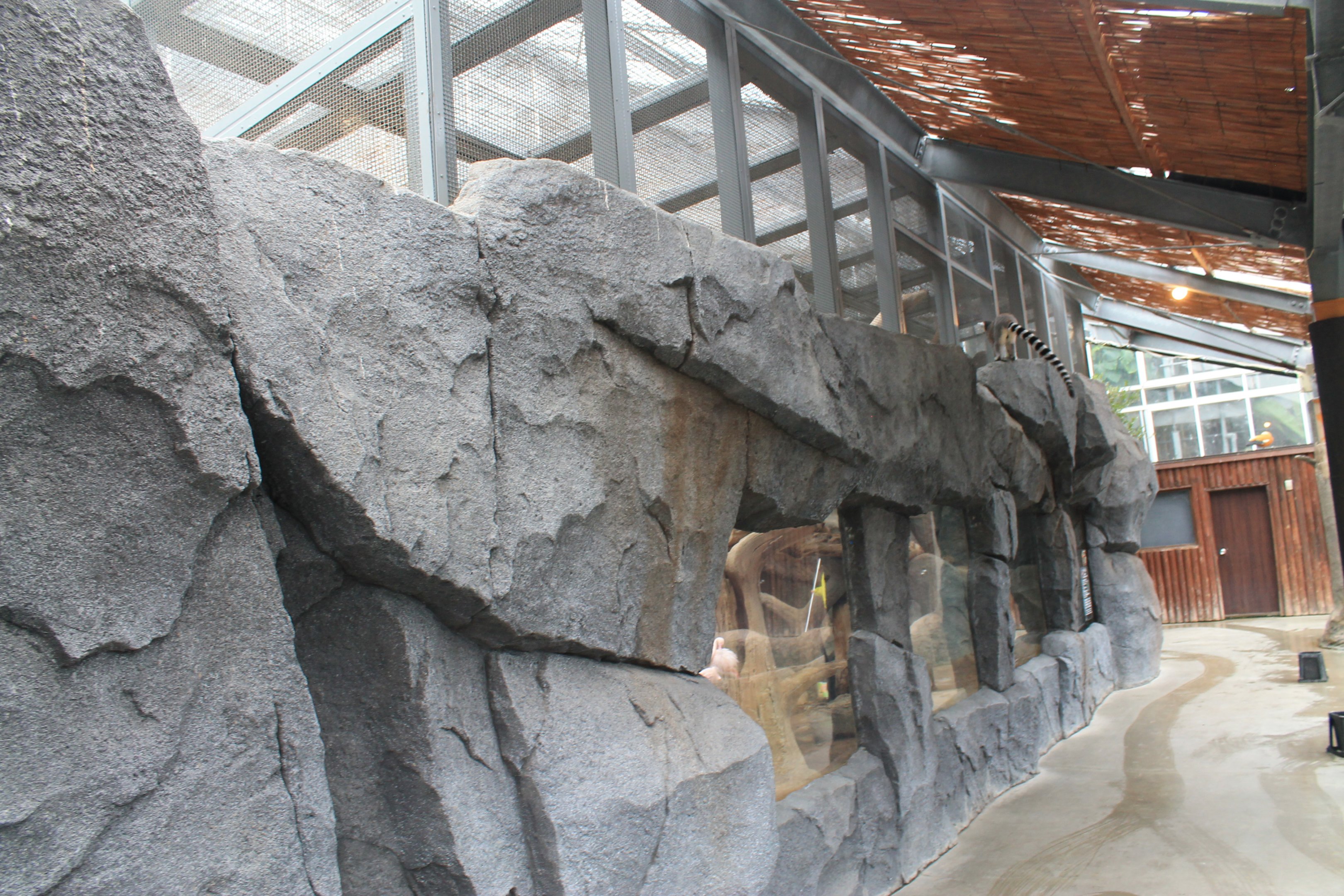 Enclosure for Serval (Leptailurus serval)