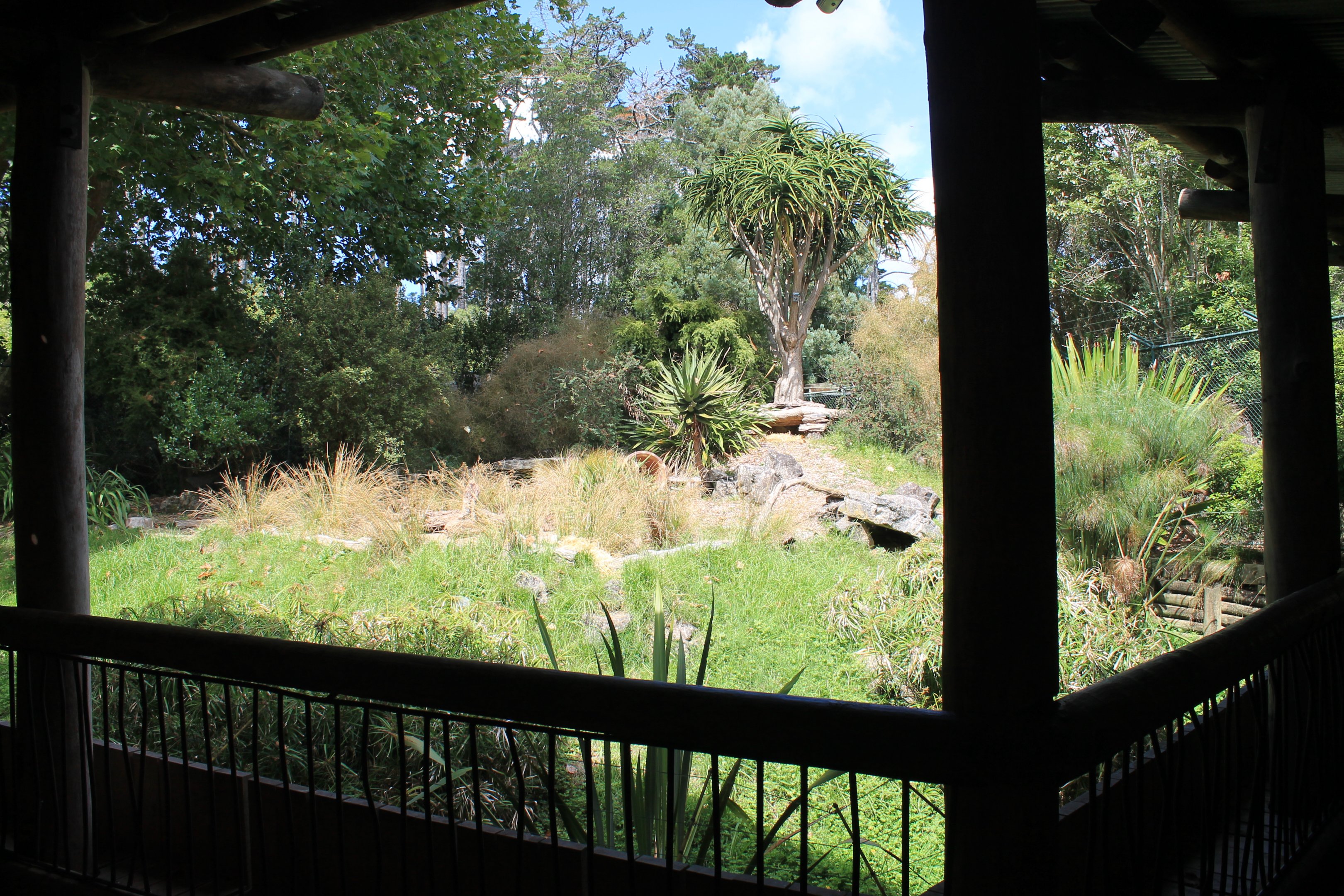 enclosure for Serval