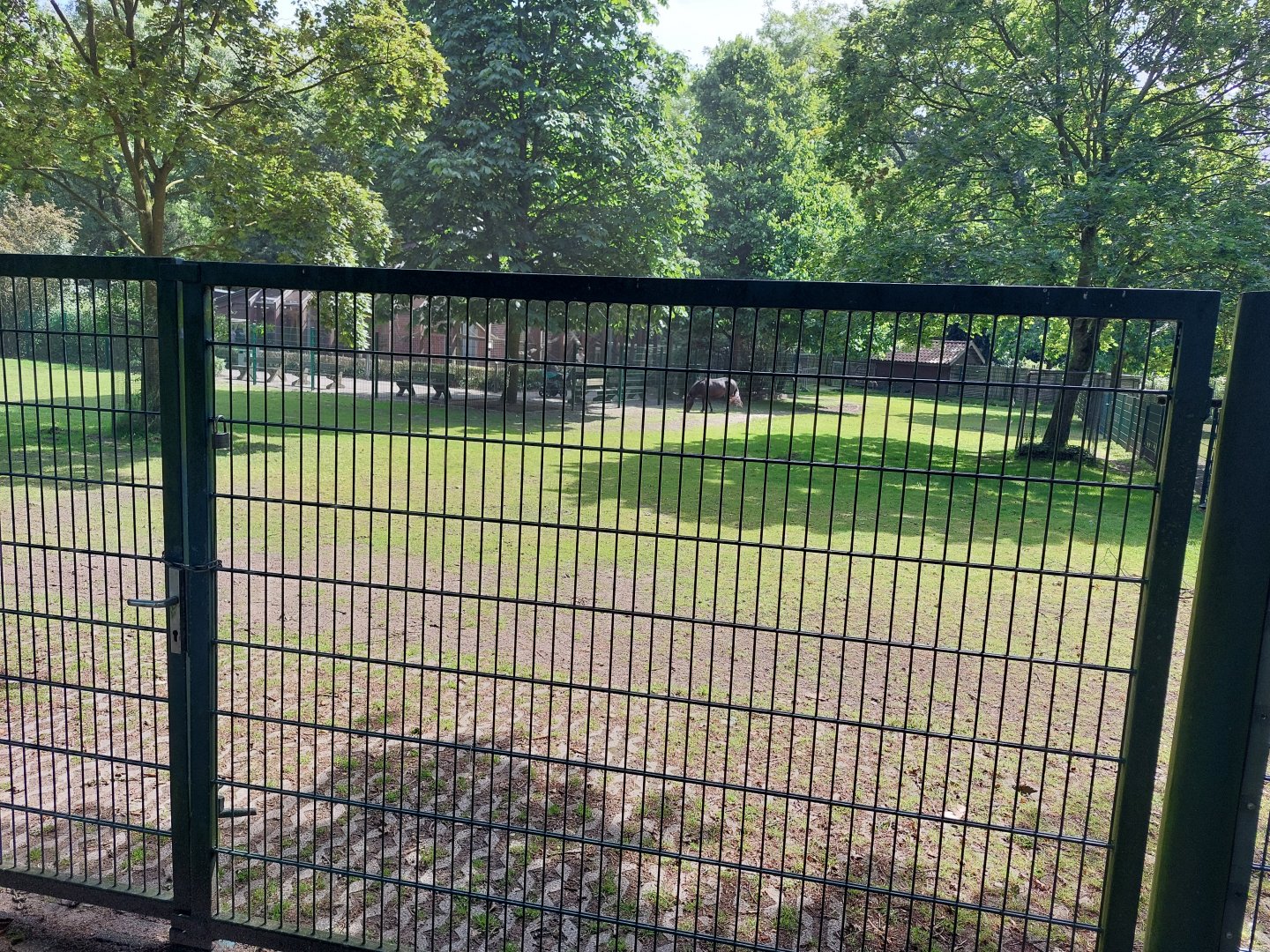 Enclosure for Shetland ponys