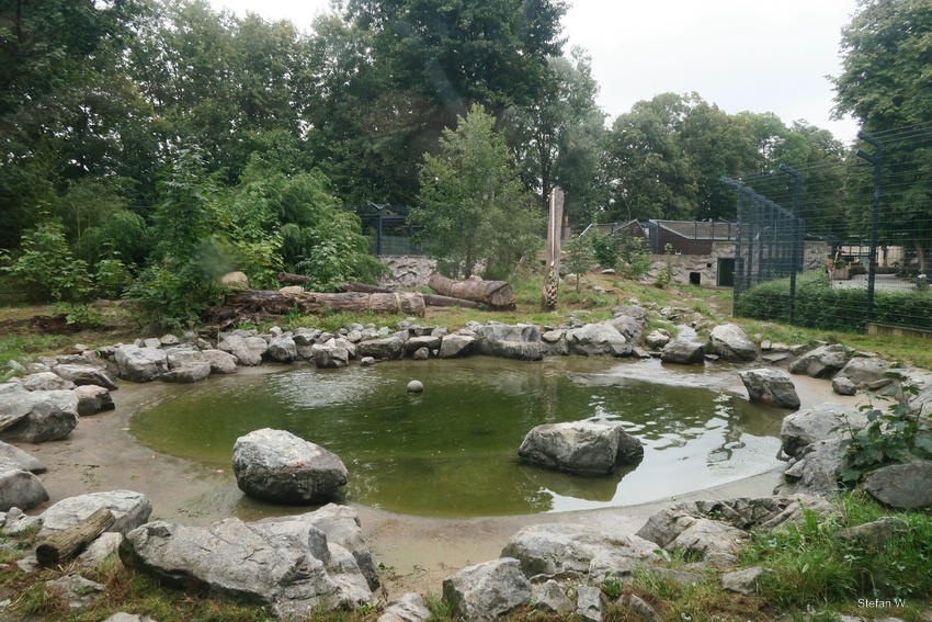 Enclosure for sibirian tigers