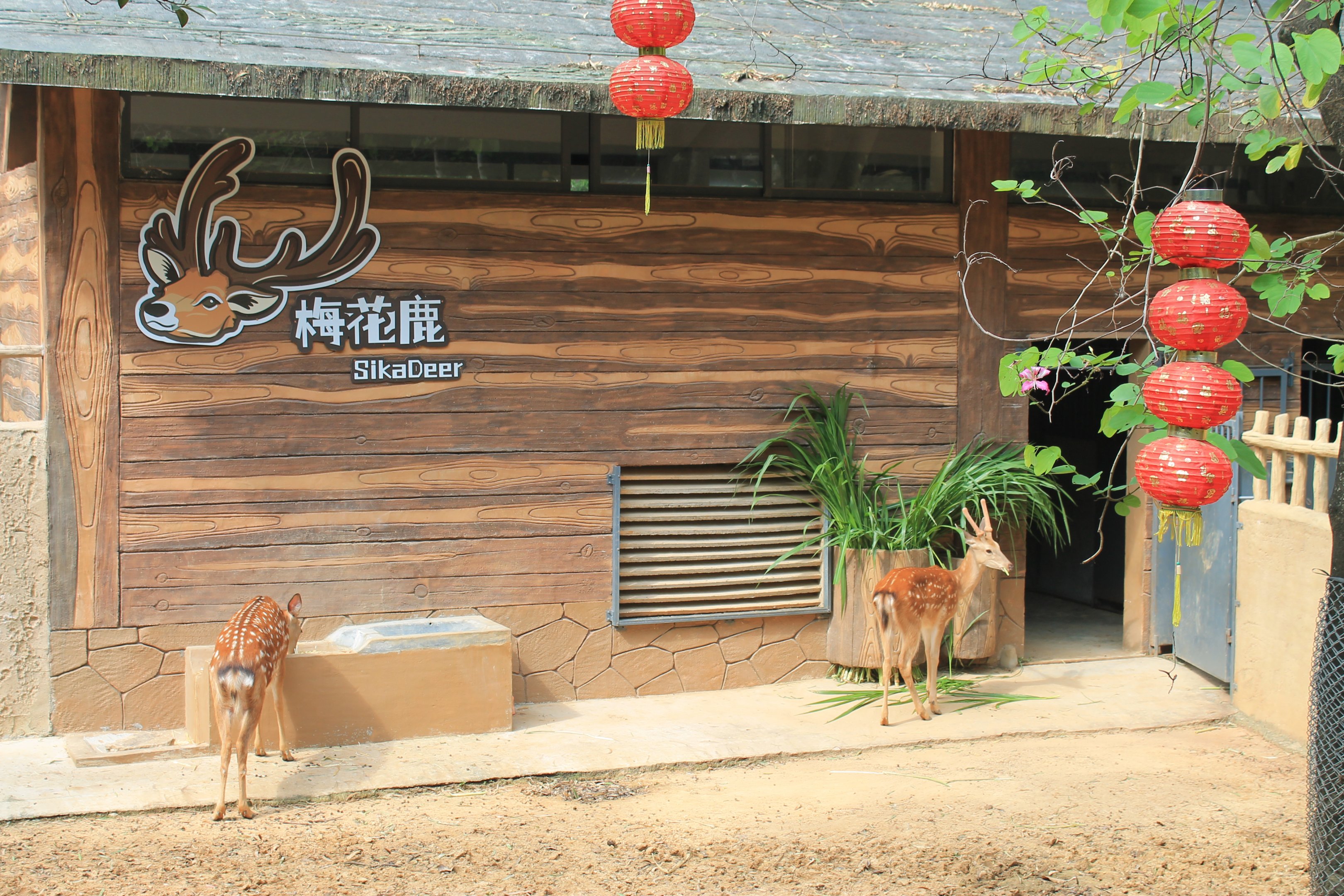 Enclosure for Sika Deer (Cervus nippon)