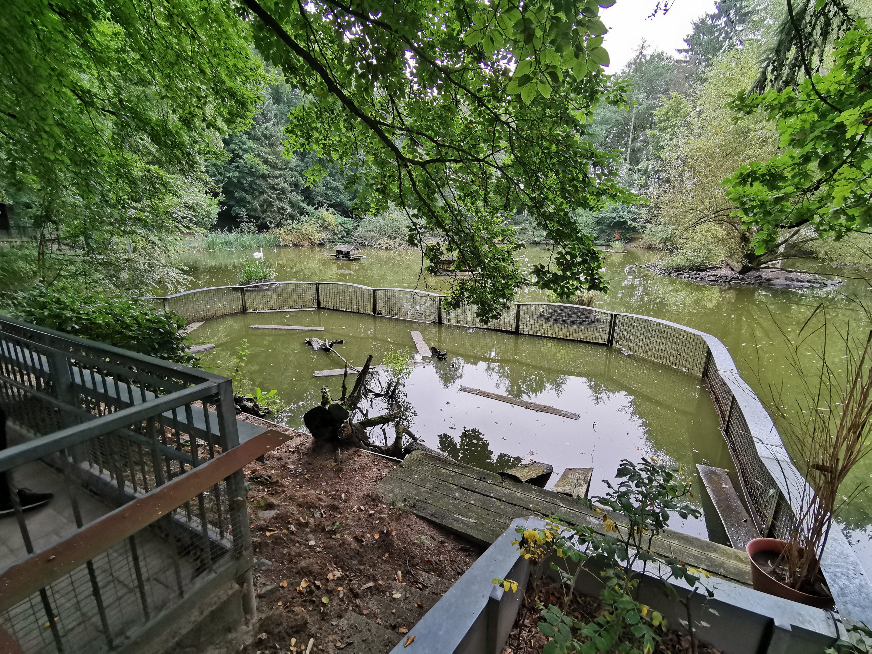 Enclosure for slider turtles