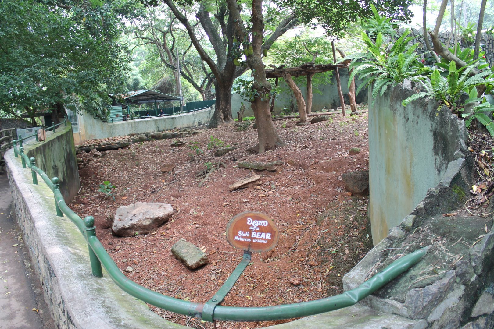 enclosure for Sloth Bear (Melursus ursinus)