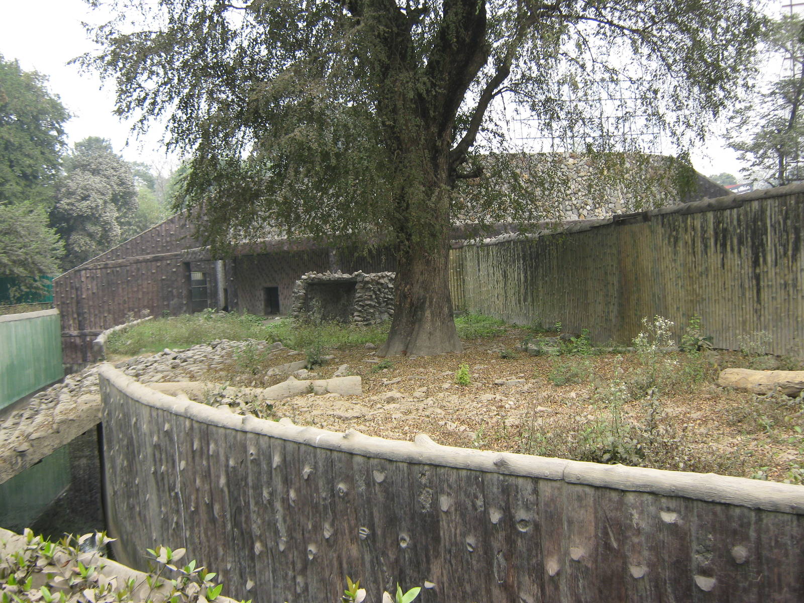 enclosure for sloth bear