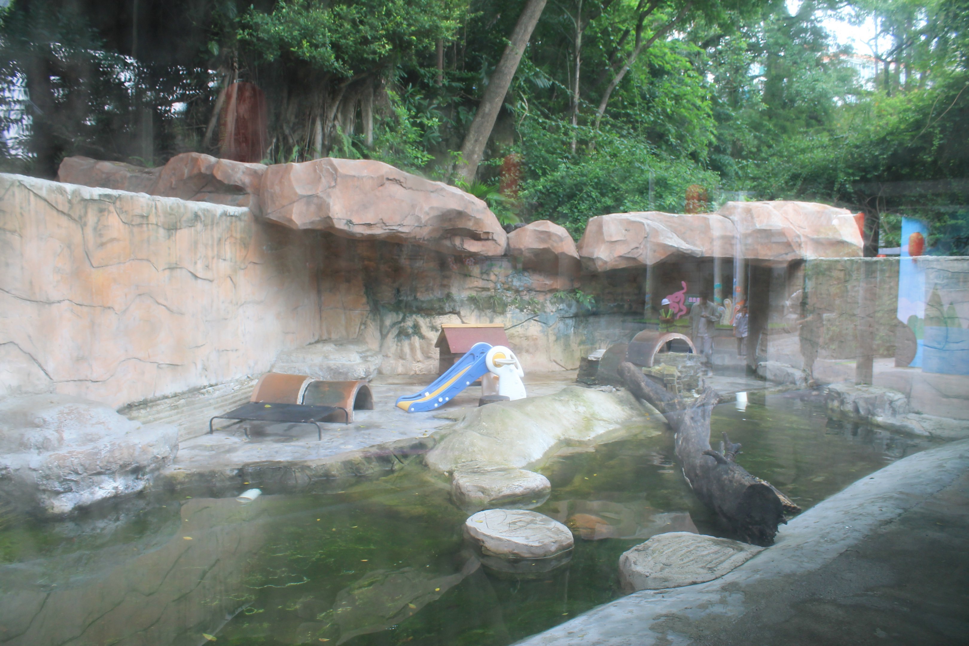 Enclosure for Small-clawed Otter (Aonyx cinereus)
