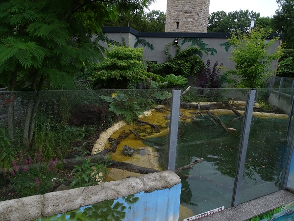 Enclosure for small-clawed otters (07/22)