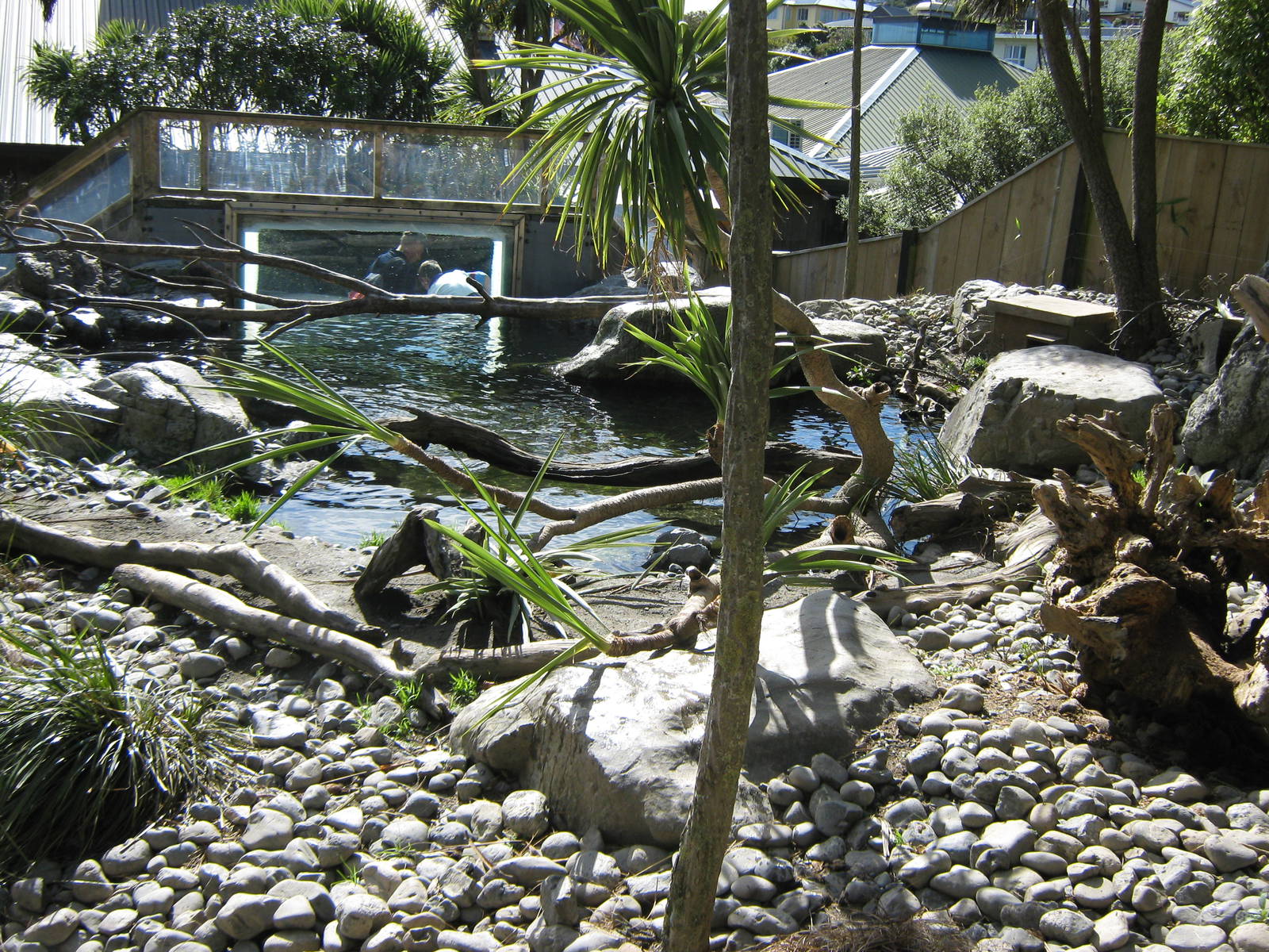 enclosure for small-clawed otters (Aonyx cinerea)