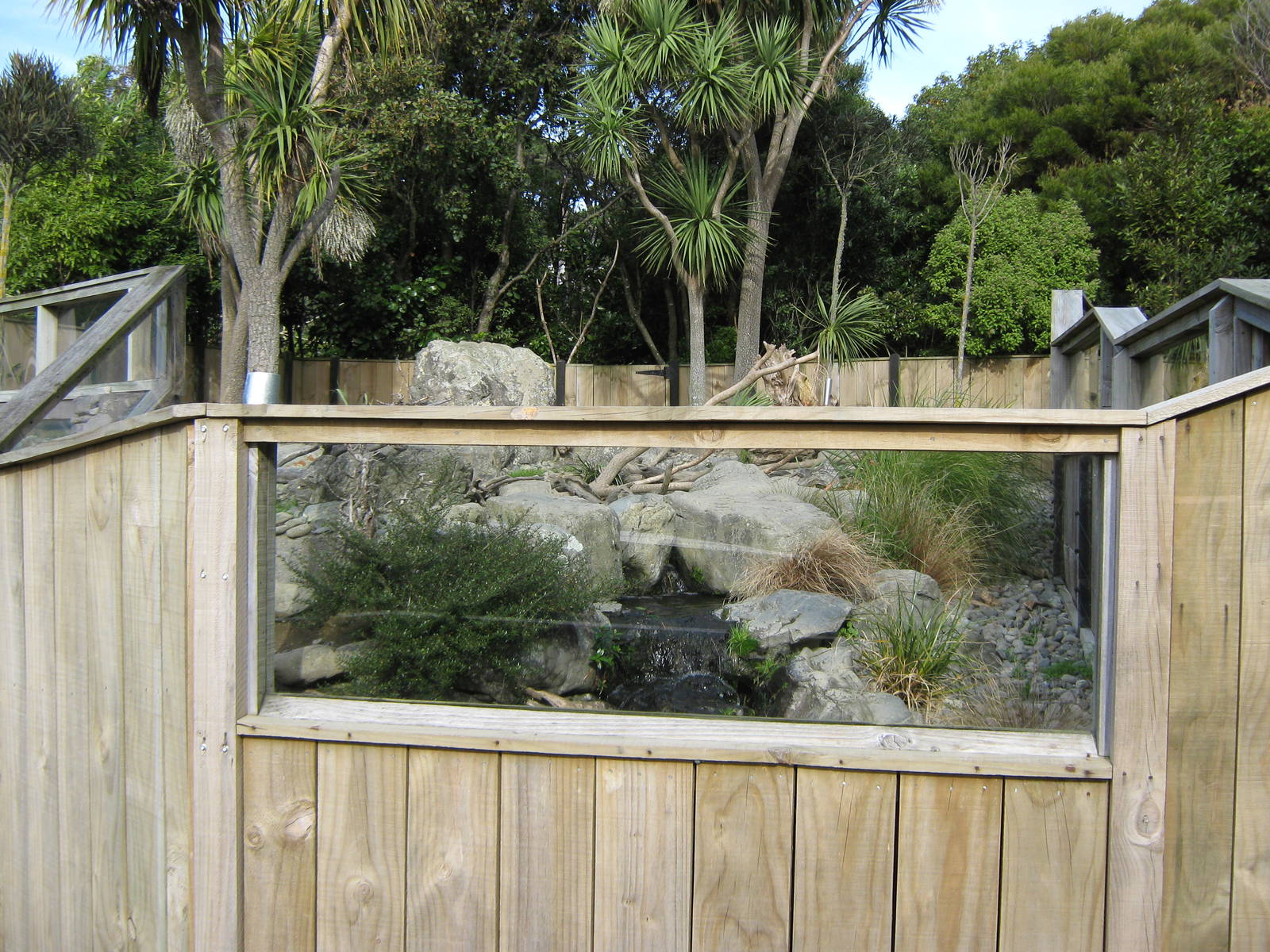 enclosure for small-clawed otters (Aonyx cinerea)
