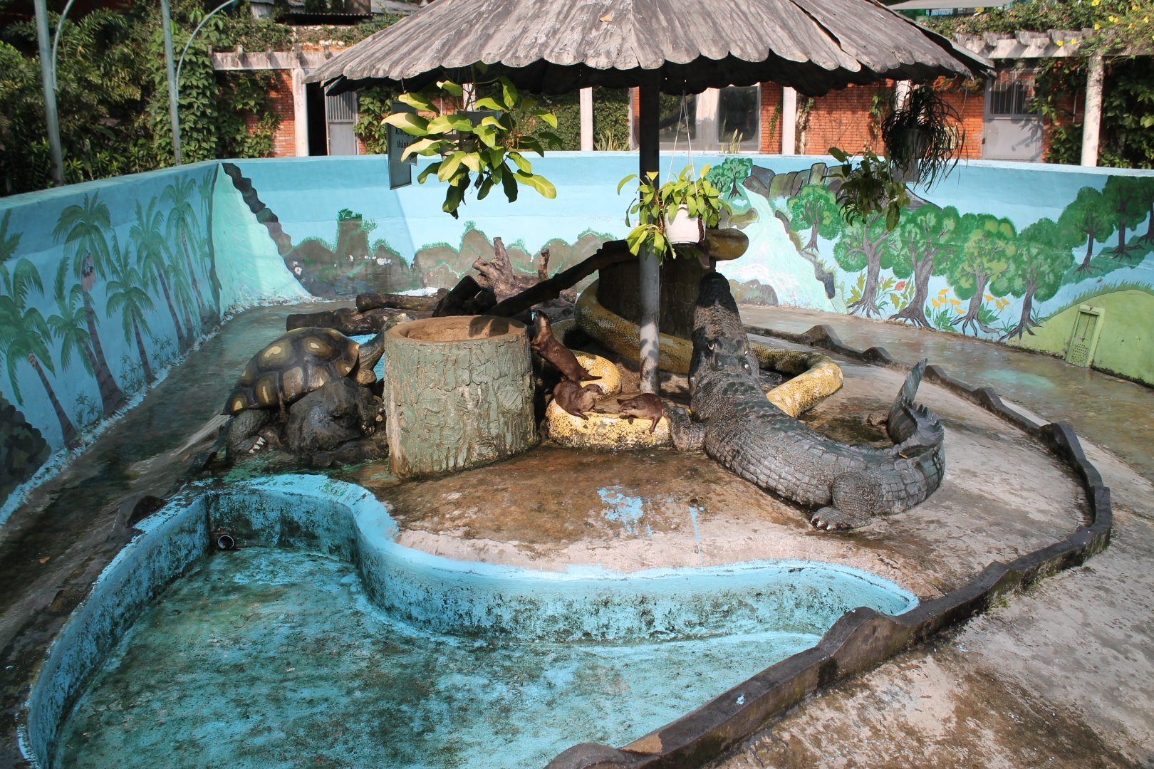 enclosure for Small-clawed Otters at the Reptile House
