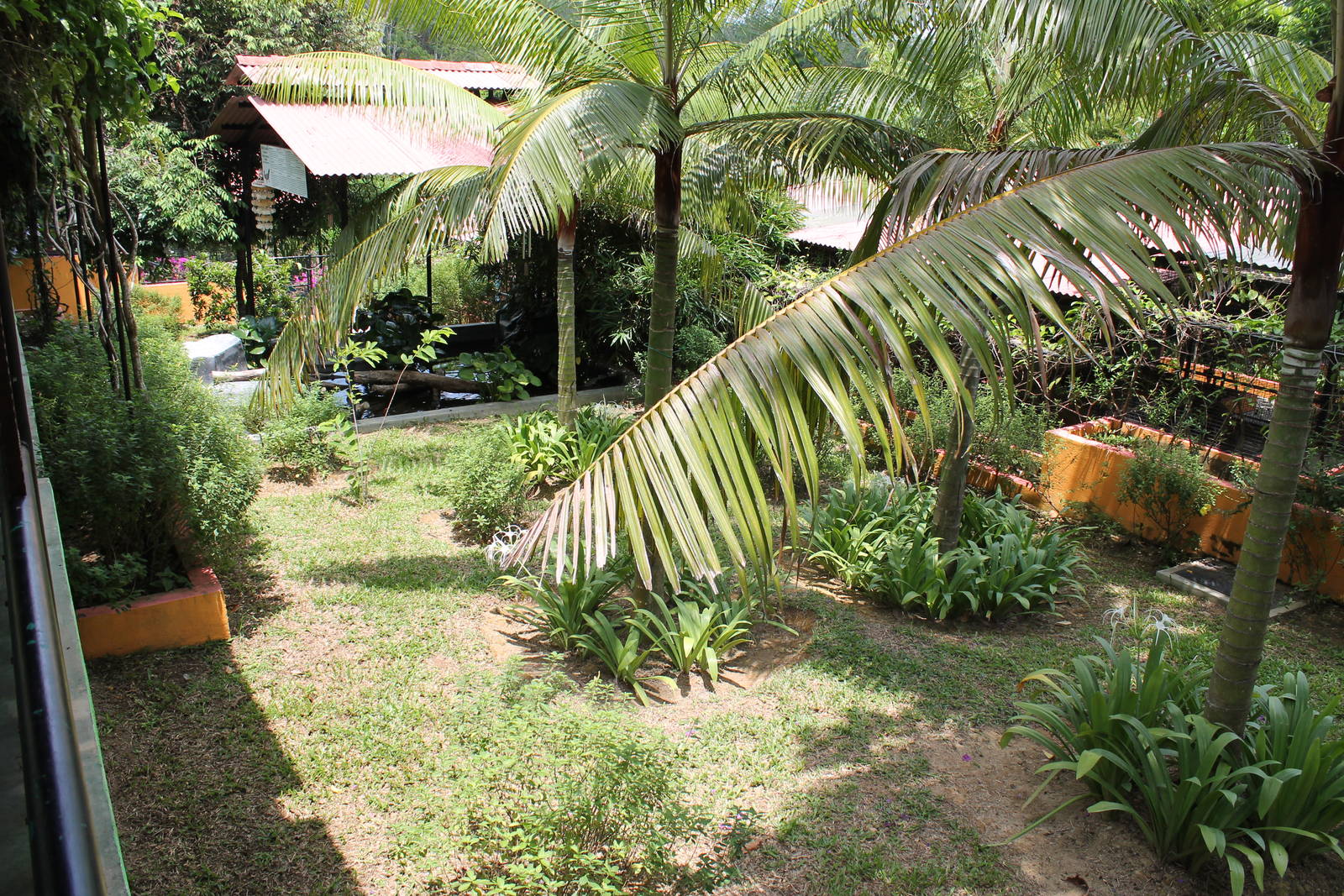 enclosure for smooth-fronted caiman