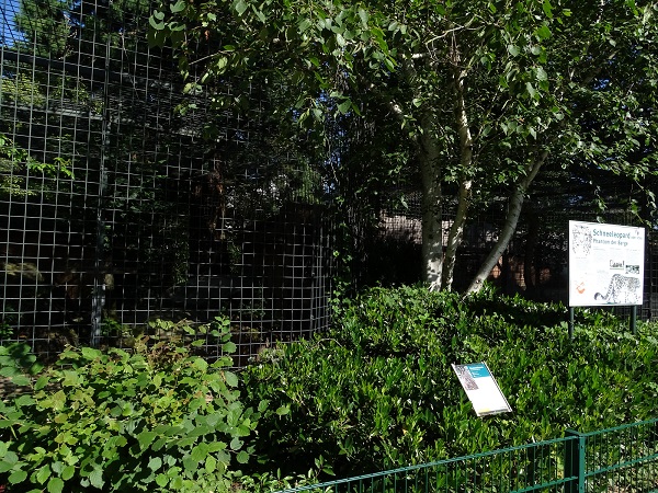 Enclosure for snow leopard (07/22)