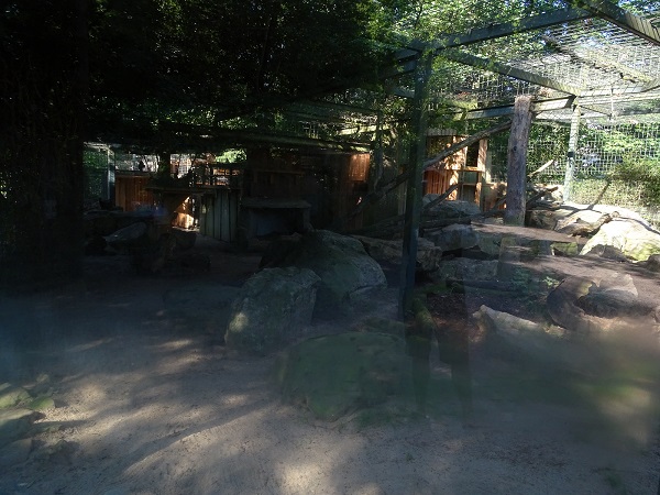 Enclosure for snow leopard (07/22)