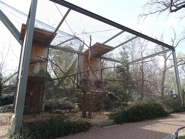 Enclosure for snowy owls (04/22)