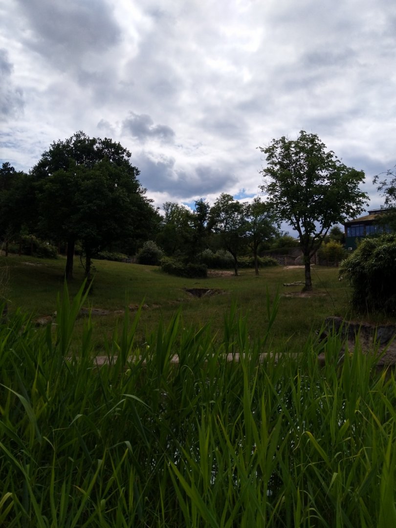 Enclosure for South African elephant