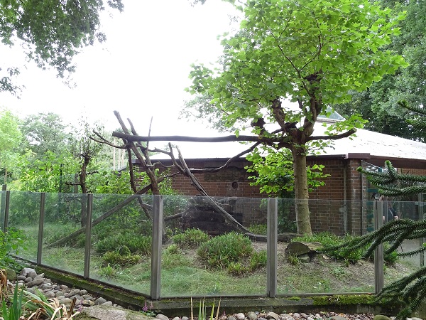 Enclosure for southern tamandua (07/22)
