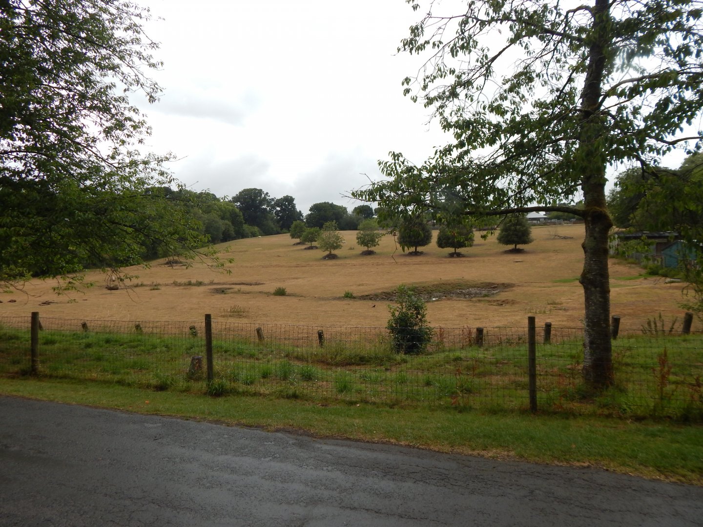 Enclosure for Southern white rhinoceros, Scimitar-horned oryx, Grevy's zebra 150725