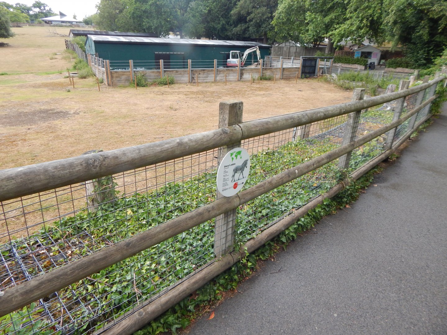 Enclosure for Southern white rhinoceros, Scimitar-horned oryx, Grevy's zebra 150725