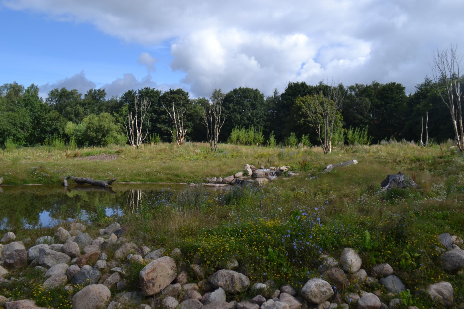 Enclosure for spectacled bear in Givskud Zoo