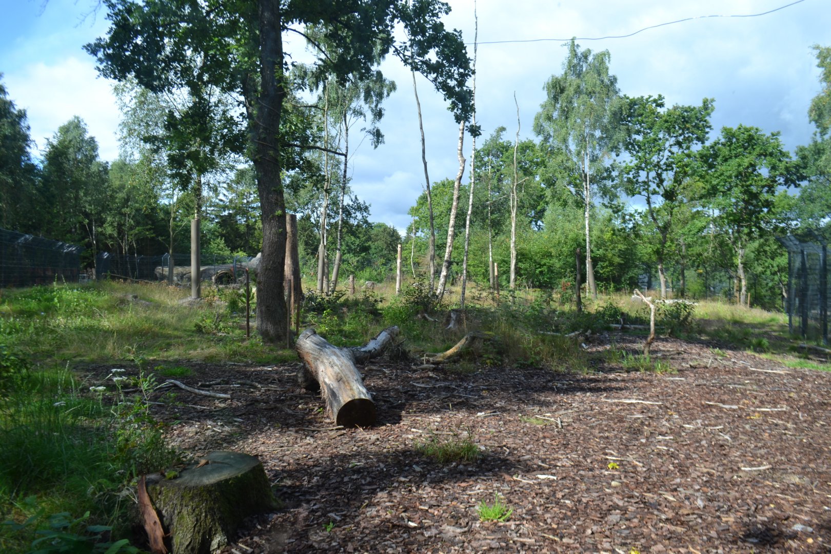 Enclosure for spectacled bear in Givskud Zoo