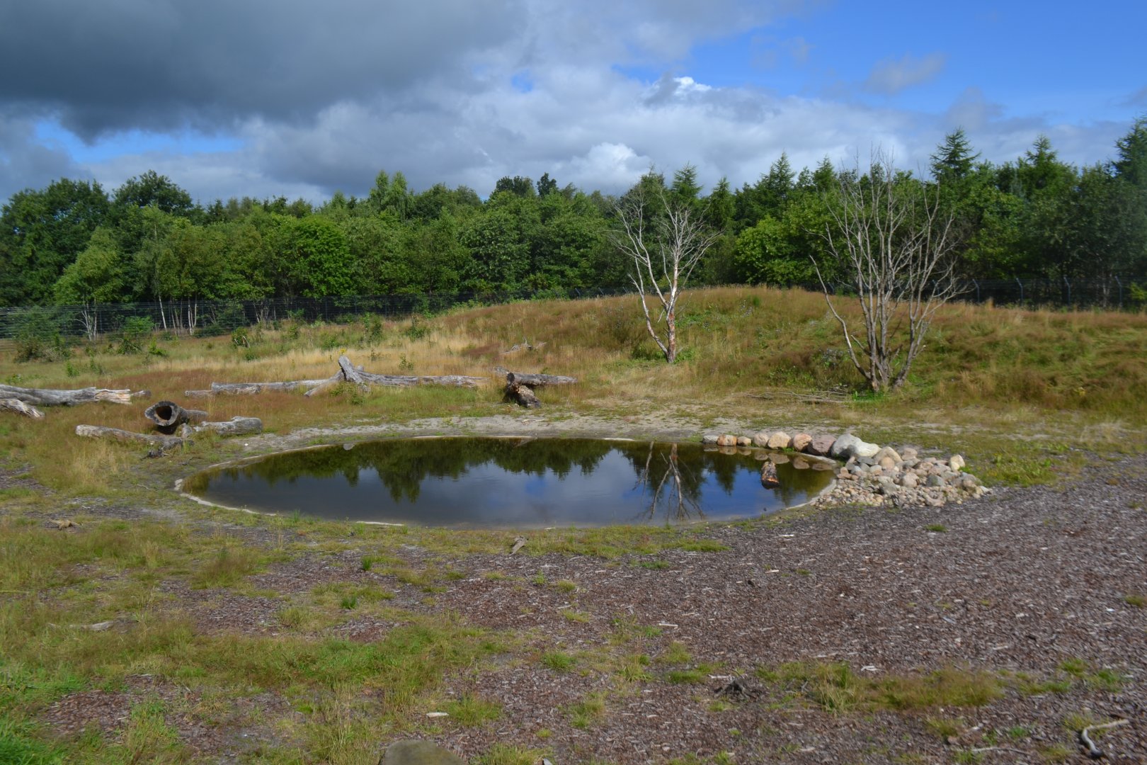 Enclosure for spectacled bear in Givskud Zoo
