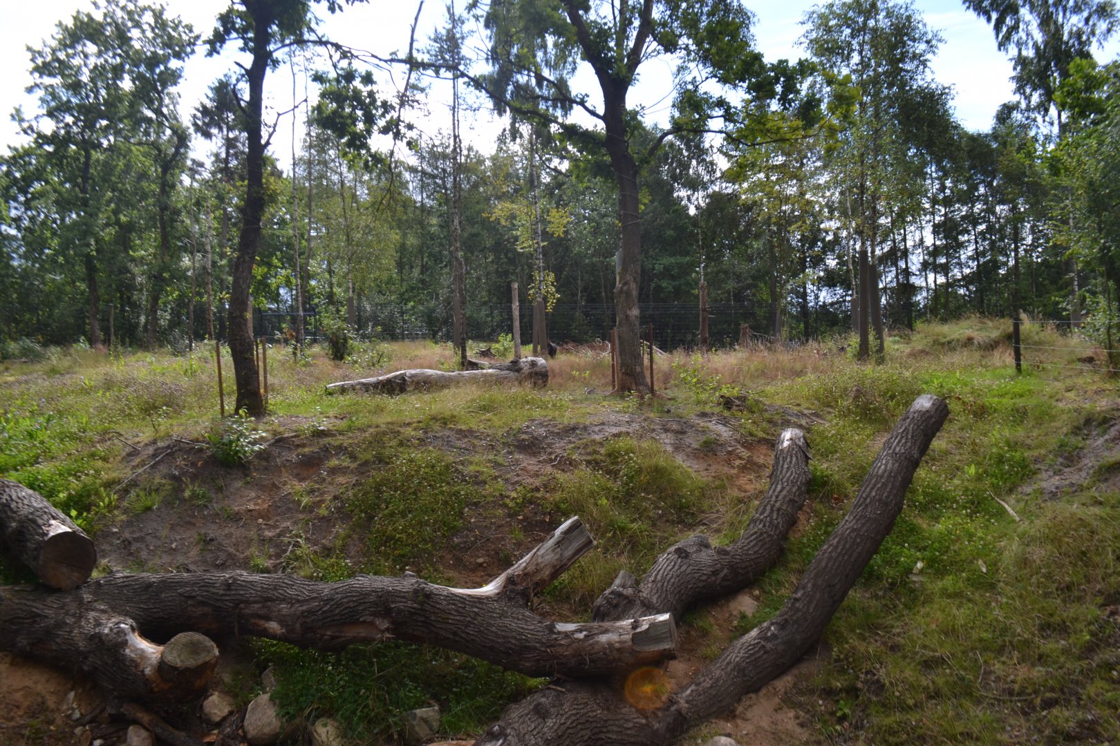 Enclosure for spectacled bear in Givskud Zoo