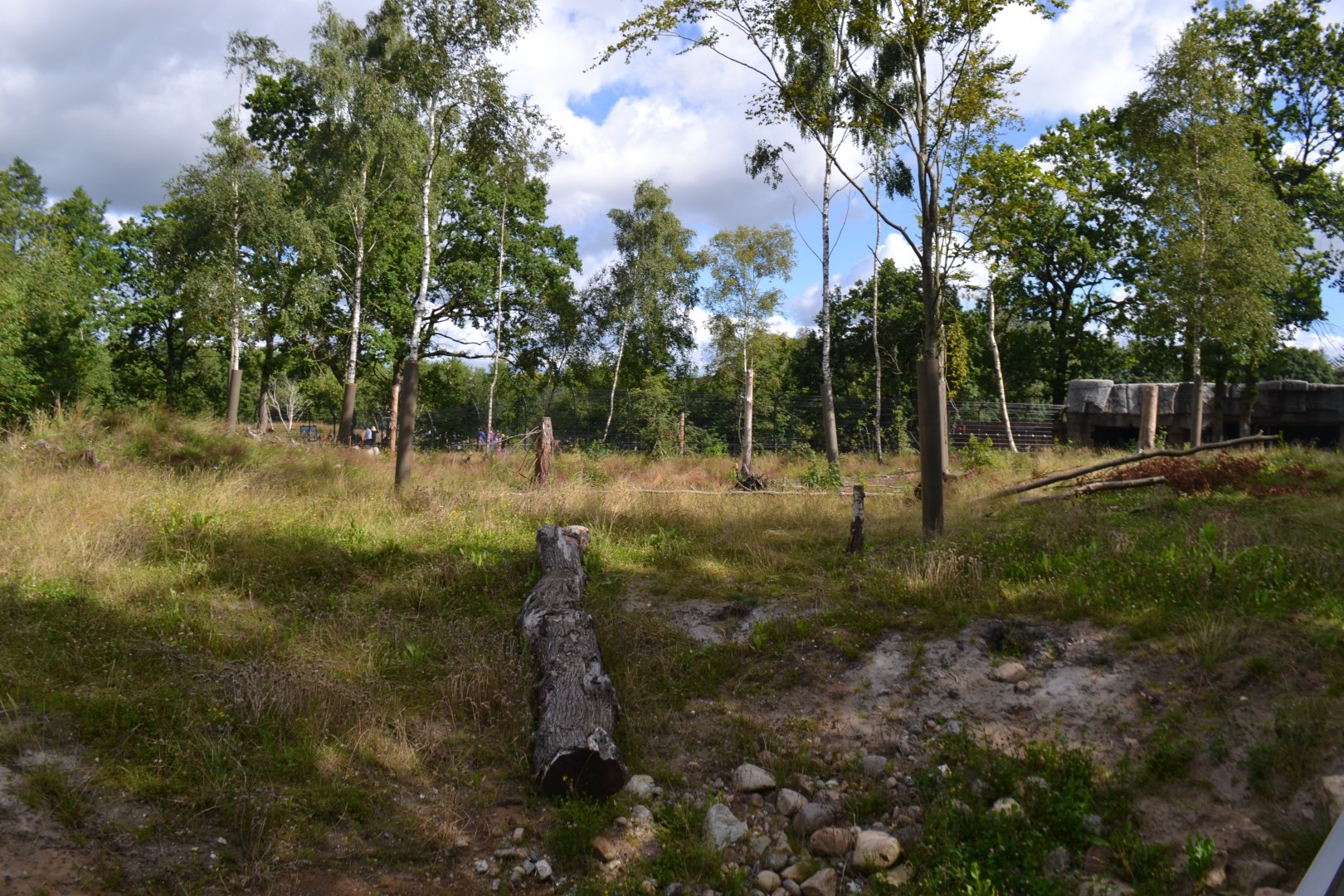 Enclosure for spectacled bear in Givskud Zoo