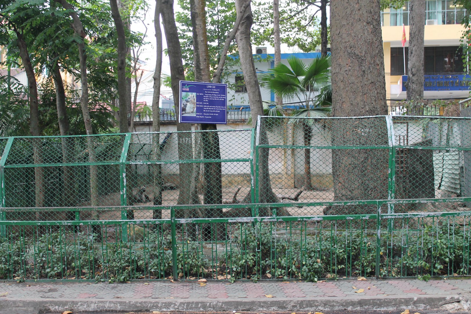 enclosure for Spotted Hyaenas