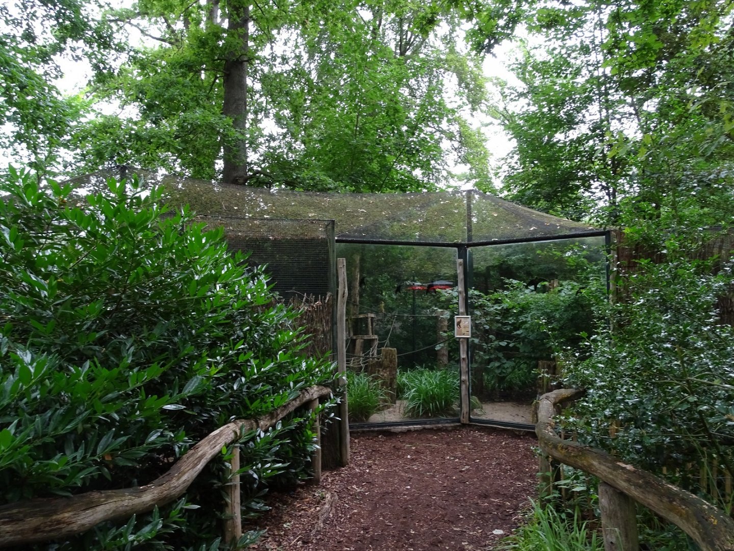 Enclosure for squirrel monkeys (07/22)