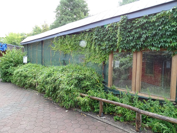 Enclosure for squirrel monkeys (07/22)