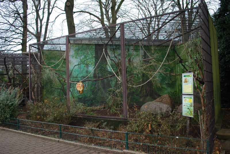 Enclosure for squirrel monkeys