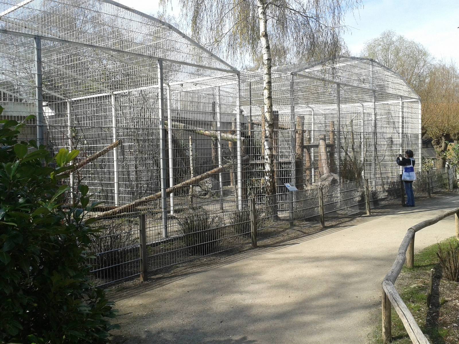 Enclosure for Sri Lanka leopards