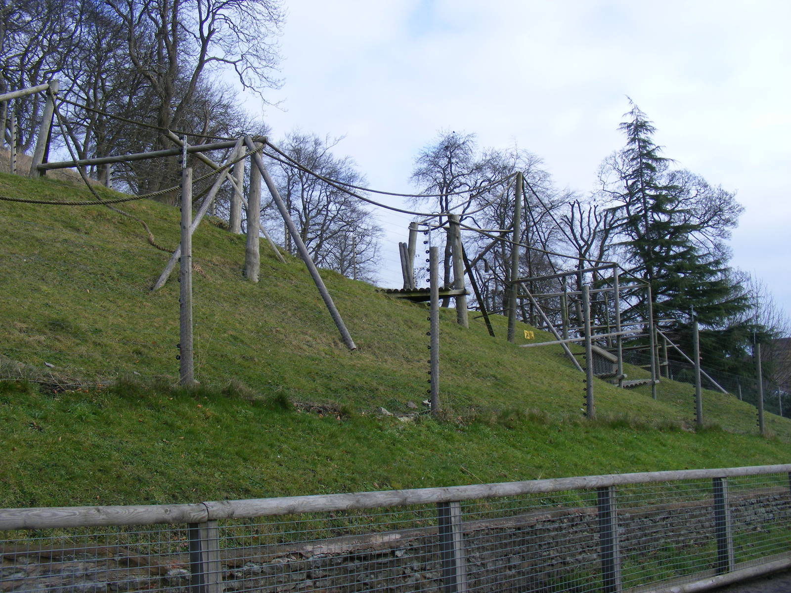 Enclosure for Sulawesi crested macaques at Dudley Zoo, 12 February 2010