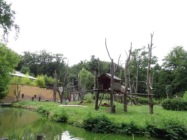 Enclosure for Sumatran orangutan and Malayan tapir (07/22)
