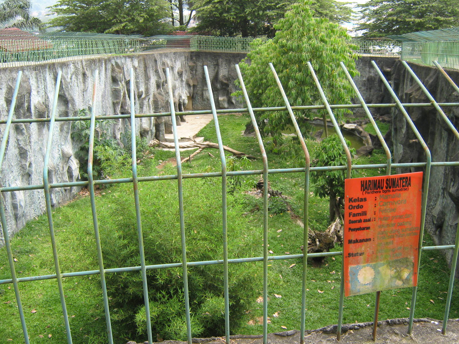 enclosure for Sumatran tiger