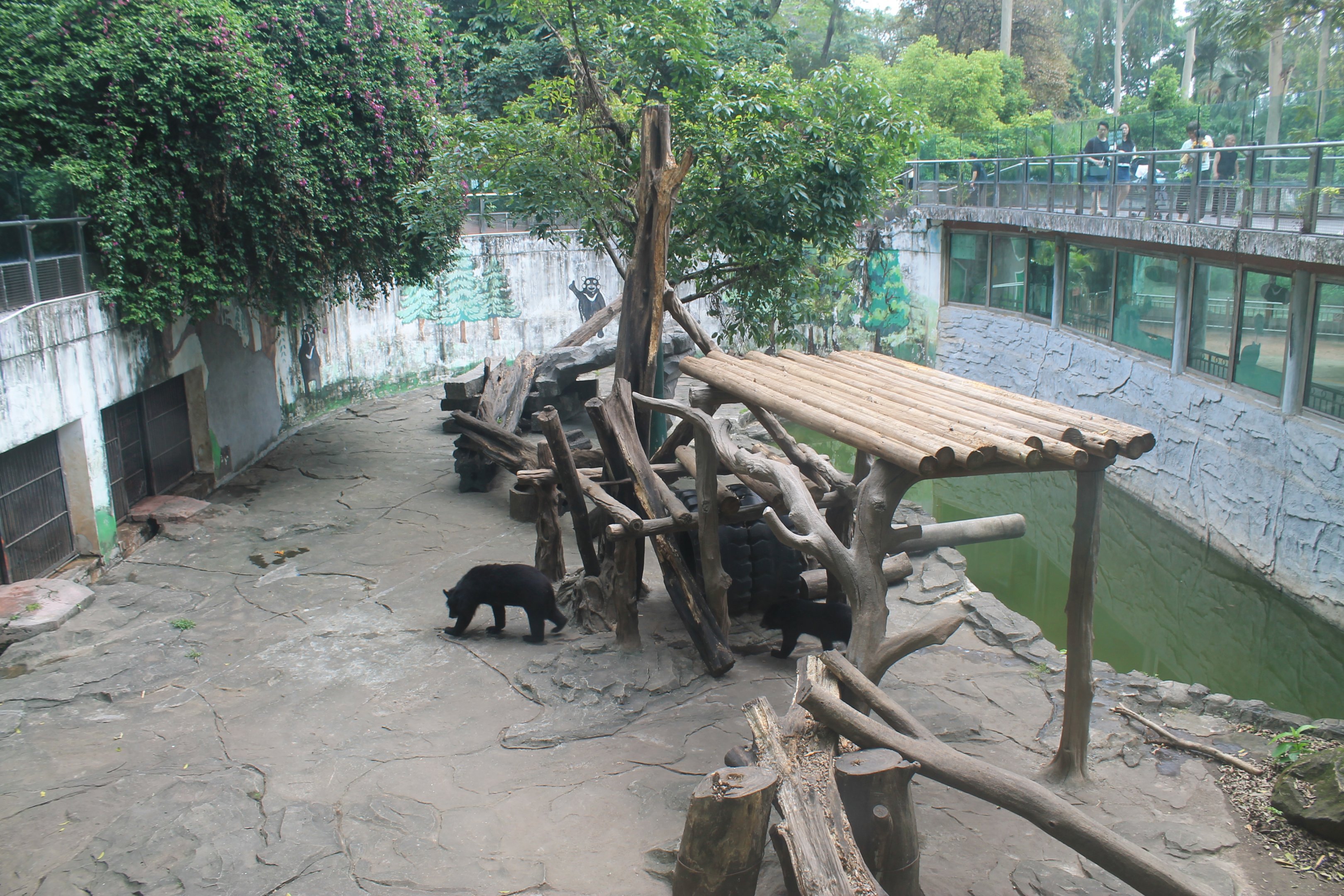 Enclosure for Sun Bear (Helarctos malayanus)